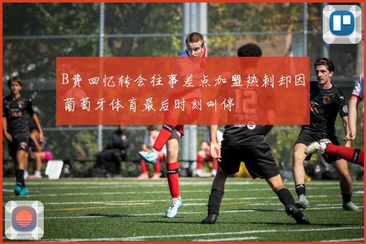 B费回忆转会往事差点加盟热刺却因葡萄牙体育最后时刻叫停